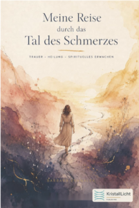 Cover Meine Reise durch das Tal des Schmerzes